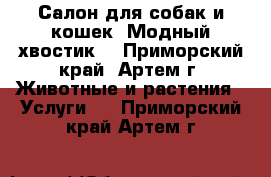 Салон для собак и кошек “Модный хвостик“ - Приморский край, Артем г. Животные и растения » Услуги   . Приморский край,Артем г.